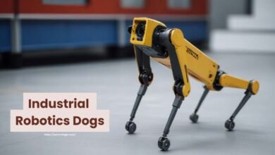 Industrial Robotics Dogs