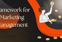 Framework for Marketing Management