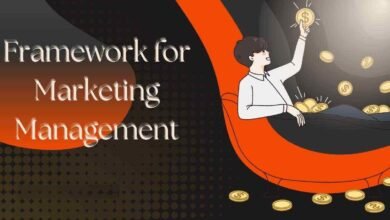 Framework for Marketing Management